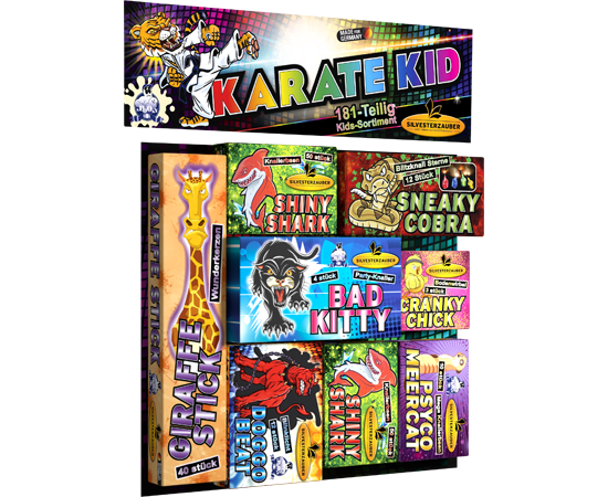 Karate Kid - 181 teiliges Jugendsortiment