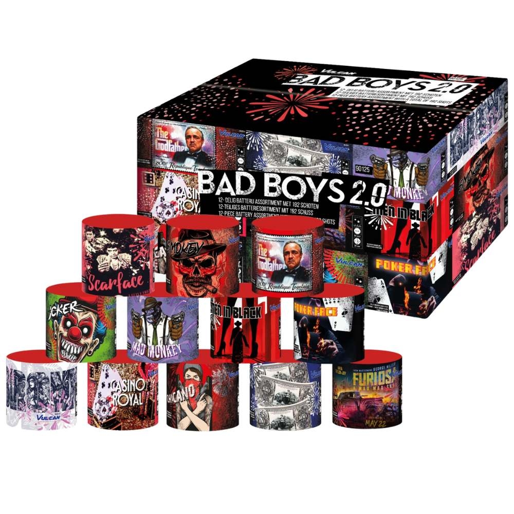 Bad Boys 2.0 - 12teiliges Batteriesortiment