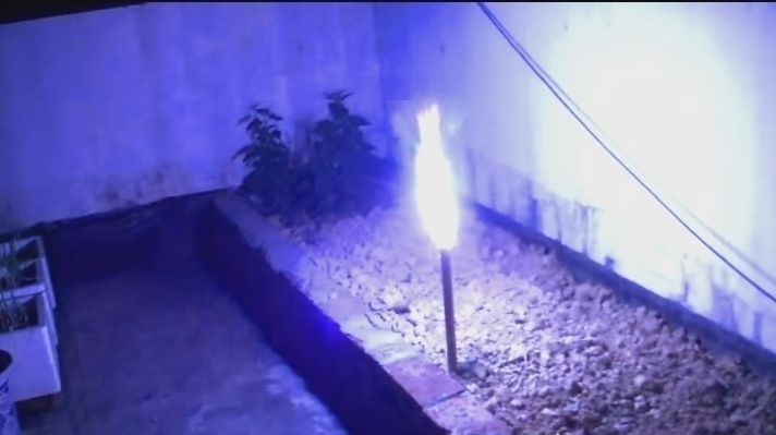 Brennende Feuerwerksfontäne oder Fackel in einem Garten bei Nacht, blaues Umgebungslicht, Anwendungsbeispiel für Gartenfeuerwerk