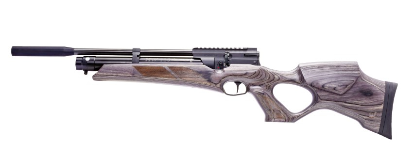 HW 110 T  Pressluftgewehr 4,5mm F mit Schichtholz-Lochschaft
