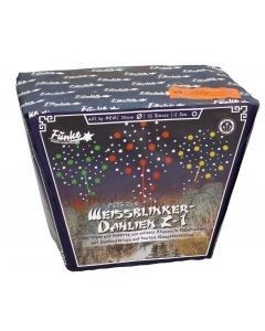 Weissblinker-Dahlien Z-1 - 25 Schuss Fächer-Batterie