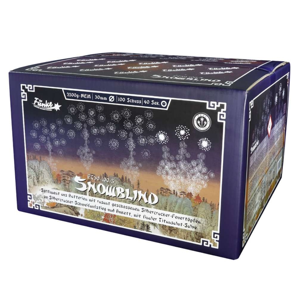 Snowblind 100 Schuss Batteriesortiment - nur Abholung da 1.3G